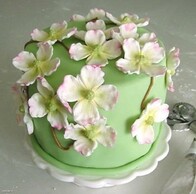 Женский 20