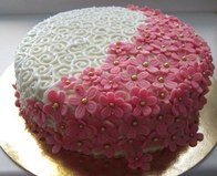 Женский 26